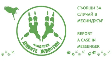 Лого на Дивите Животни